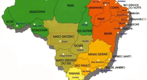 Imagem do post 17 países retiram restrições à carne de frango do Brasil
