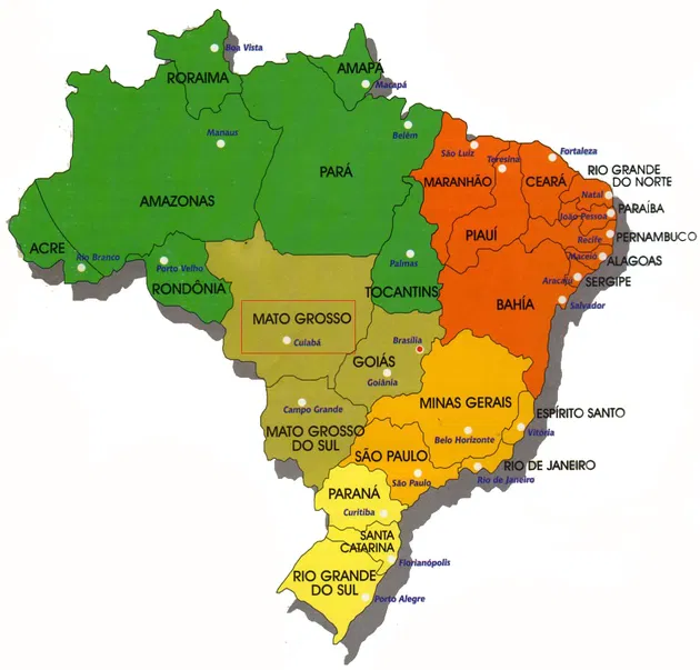 17 países retiram restrições à carne de frango do Brasil