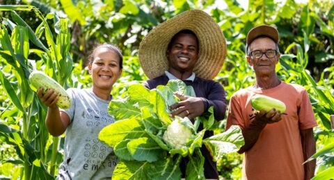 Imagem do post Bahia lança Plano Safra 2025/2026