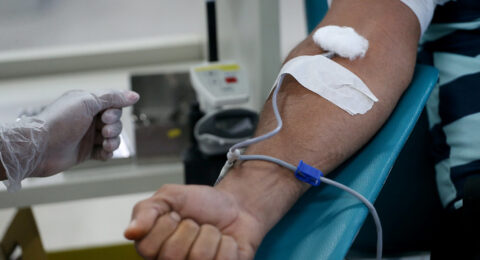 Imagem do post Hemoba lança campanha para doação regular de sangue