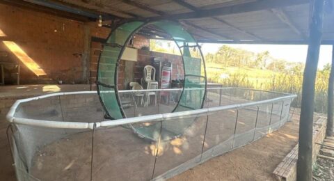 Imagem do post PM desarticula rinha de galos e apreende arma de fogo