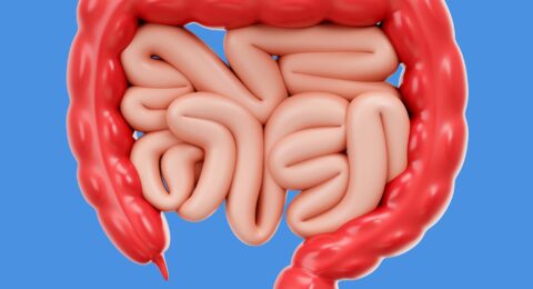 Imagem do post Câncer colorretal deve matar 36% mais até 2040 no Brasil