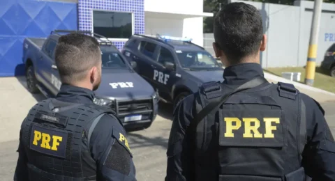 Imagem do post PRF apreende sete fuzis em carro na BR-116