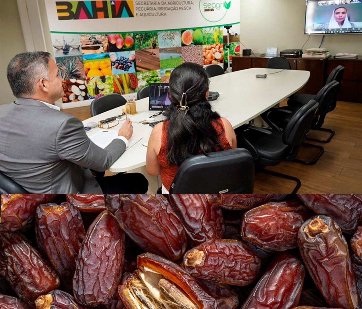 Bahia avança em projeto de cultivo de tâmaras no semiárido