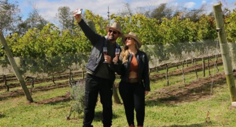 Imagem do post Vindima atrai turistas à Rota do Vinho da Chapada