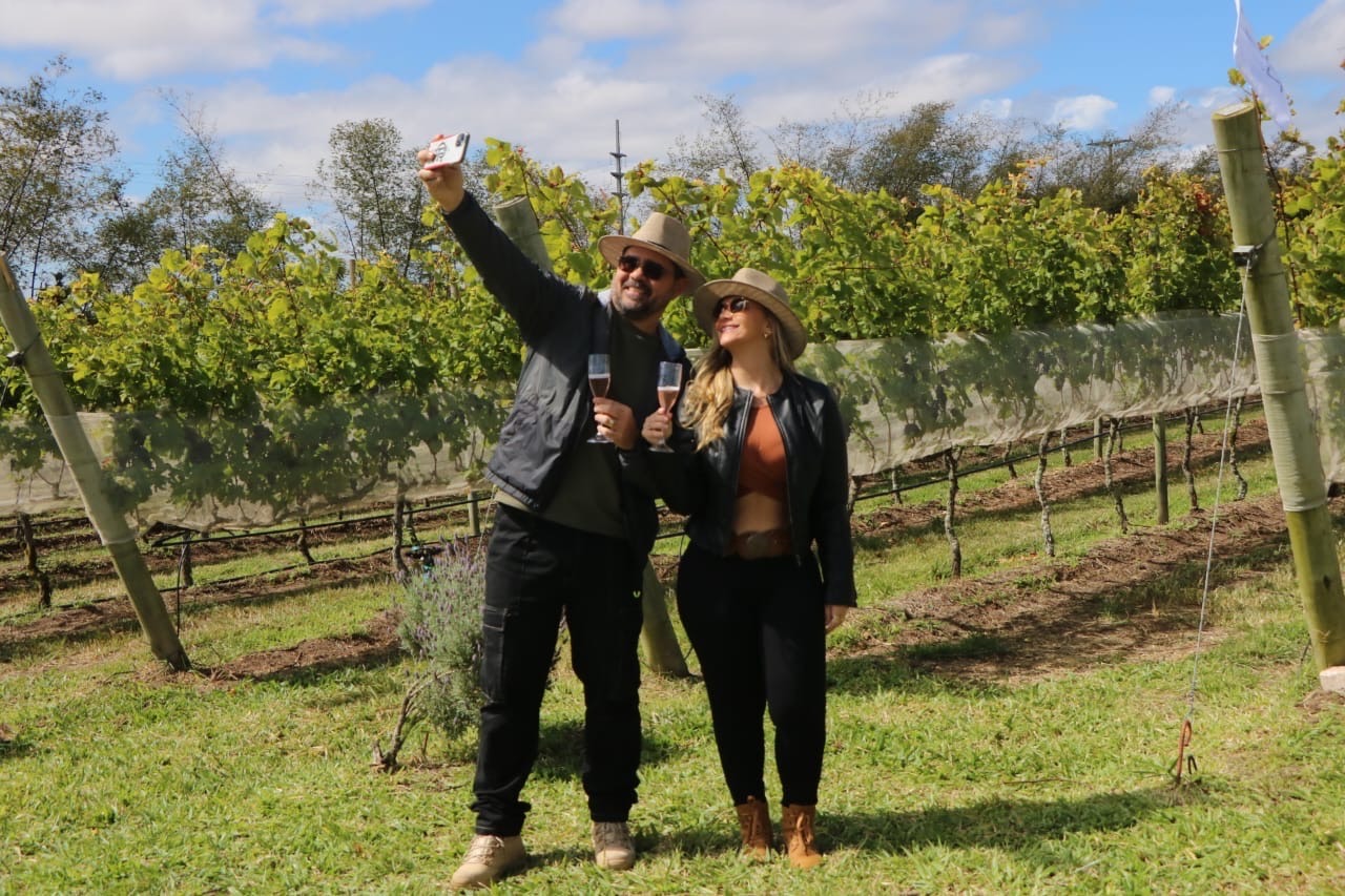 Vindima atrai turistas à Rota do Vinho da Chapada