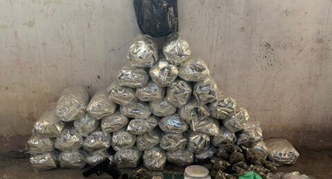 Imagem do post Arma e cerca de 20kg de maconha são apreendidos pela PM