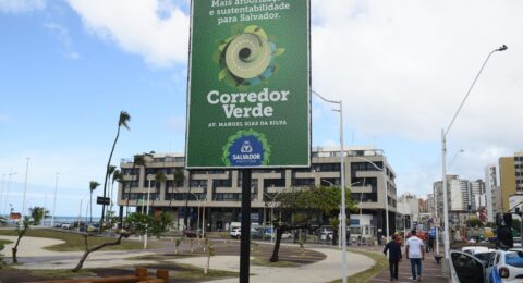 Imagem do post Corredor Verde: Prefeitura inicia novo programa de arborização em Salvador