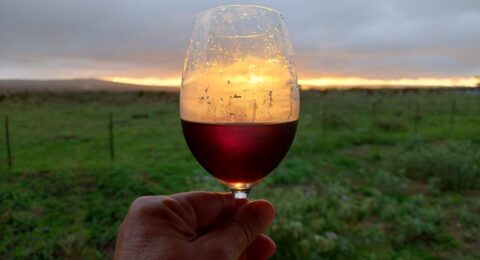 Imagem do post Dia do Sommelier é celebrado nesta sexta-feira (29)