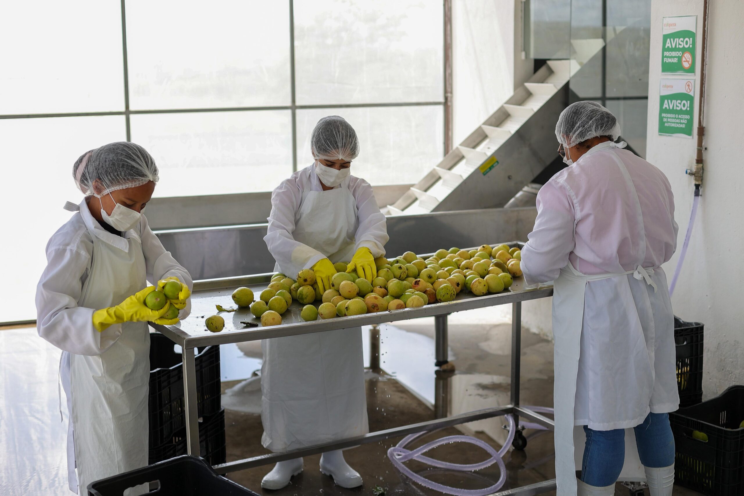 Nova Unidade de Beneficiamento fortalece a fruticultura em Inhambupe