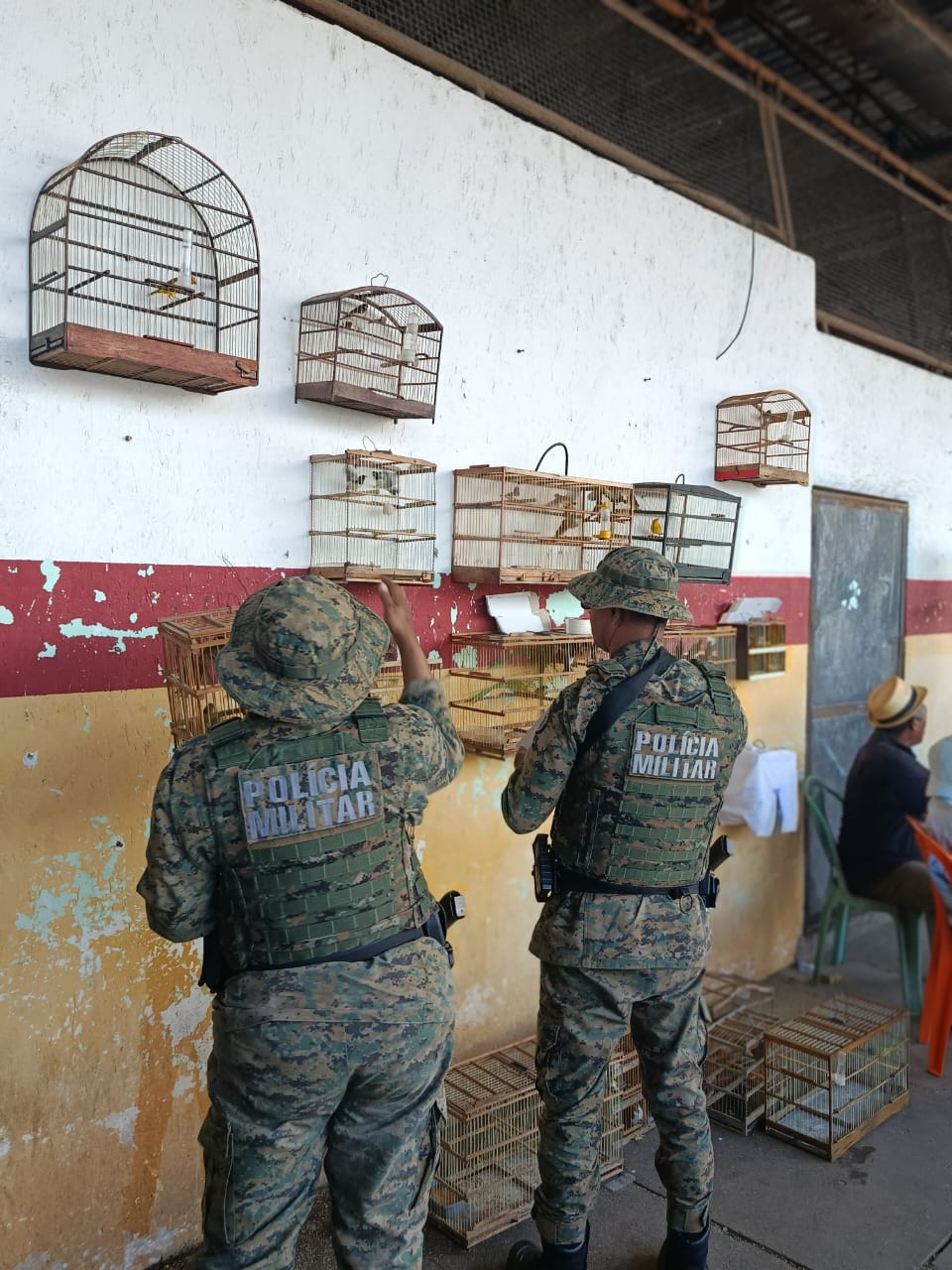 PM resgata 77 aves silvestres e prende dois homens