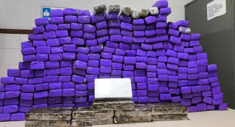 Imagem do post PM apreende mais de 260 kg de drogas