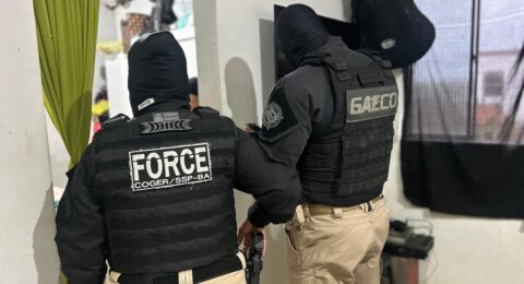 Imagem do post Operação prende oito pessoas e desarticula rede criminosa de grilagem de terras