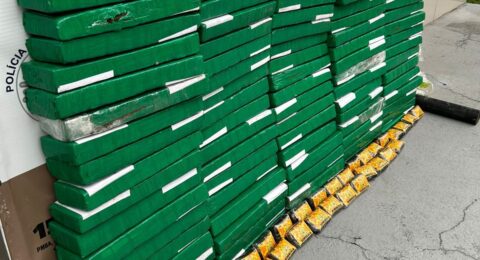 Imagem do post Idoso é preso com 95 kg de drogas na BR-415