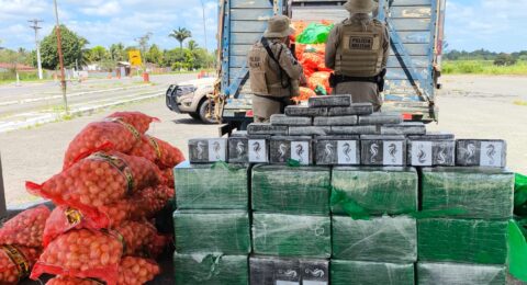 Imagem do post PM apreende 500 kg de cocaína na BA-502