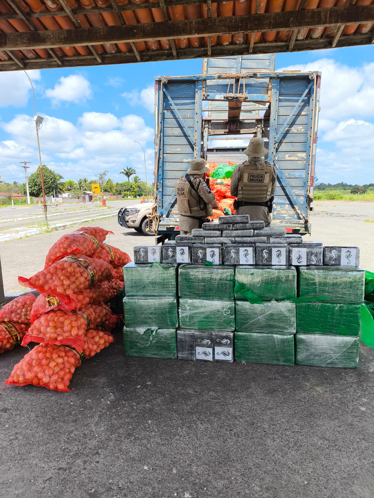 PM apreende 500 kg de cocaína na BA-502