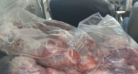 Imagem do post Polícia Civil apreende caminhão com 330 kg de carne clandestina em Salvador
