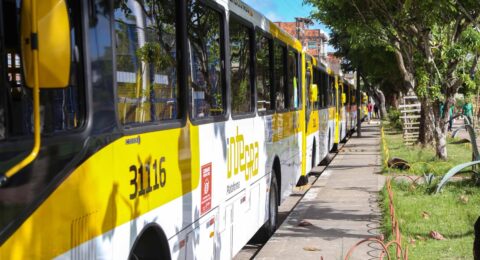 Imagem do post Prefeitura de Salvador amplia oferta de ônibus em 16 linhas e cria três novas rotas
