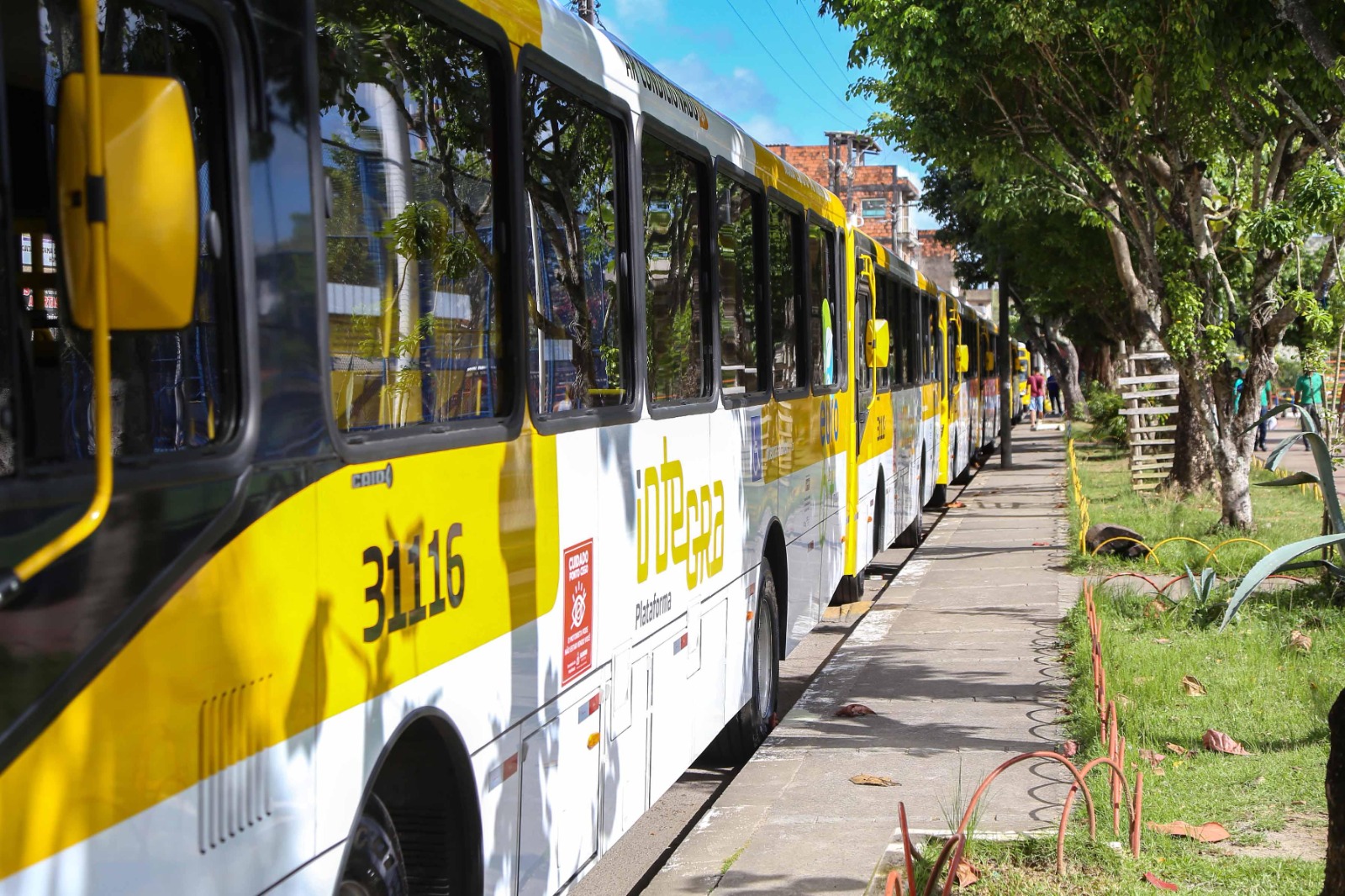 Prefeitura de Salvador amplia oferta de ônibus em 16 linhas e cria três novas rotas