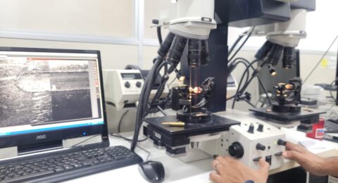 Imagem do post Polícia Técnica conclui perícia de fuzis apreendidos em Abrantes