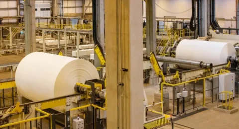 Imagem do post EUA liberam celulose e ferro-níquel do Brasil de tarifas extras