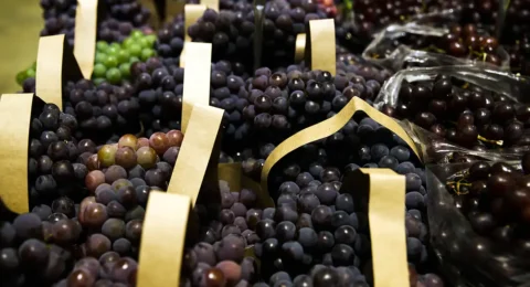 Imagem do post Brasil Soberano libera R$ 1,2 bi em crédito para empresas afetadas pelo tarifaço