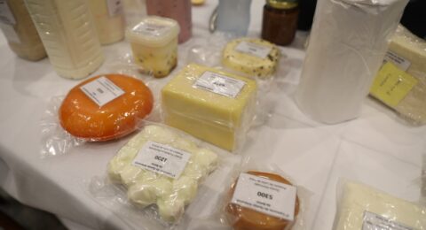 Imagem do post Bahia celebra o sabor: Festival do Queijo Artesanal reúne tradição e inovação em Salvador