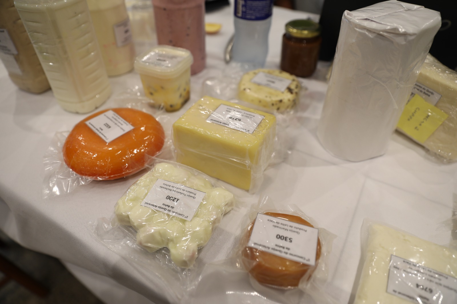 Bahia celebra o sabor: Festival do Queijo Artesanal reúne tradição e inovação em Salvador