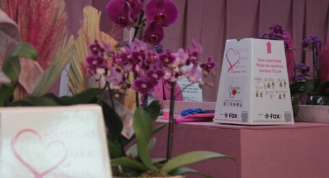 Imagem do post Primeiras doações de mechas no salão temporário do projeto Ligadas Por Fios