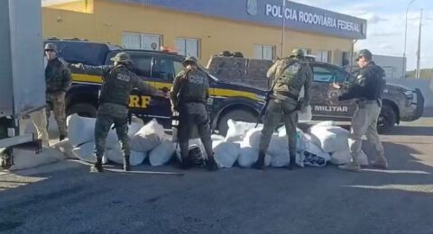 Imagem do post Forças de segurança apreendem 781 kg de maconha na BR-235