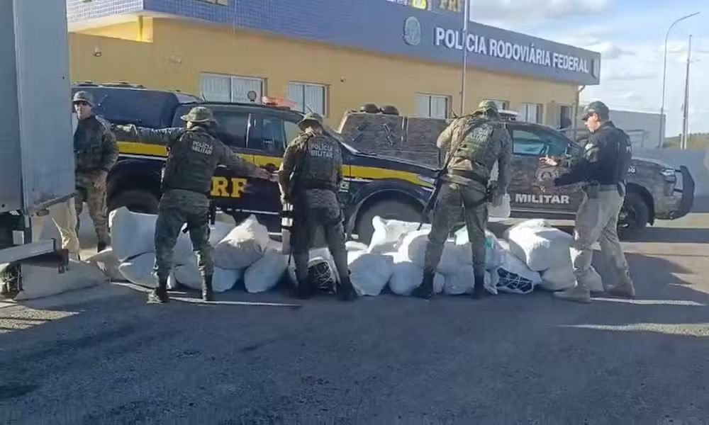 Forças de segurança apreendem 781 kg de maconha na BR-235