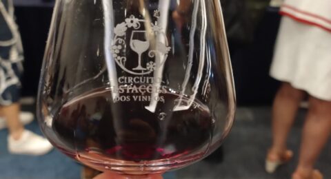 Imagem do post Circuito das Estações do Vinho celebra a excelência dos vinhos brasileiros