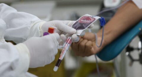 Imagem do post Semana do Doador na Hemoba