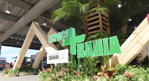 Imagem do post Fenagro recria Mata Atlântica em espaço imersivo