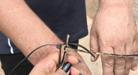 Imagem do post PM resgata empresário sequestrado e recupera veículo em Itapuã