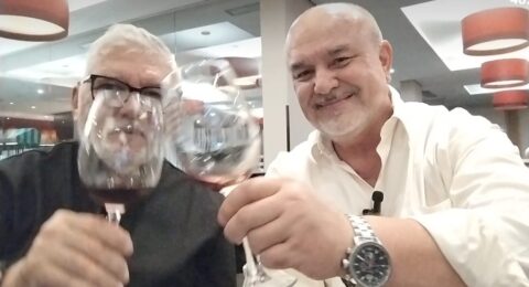 Imagem do post Importação,Vinhos e Histórias