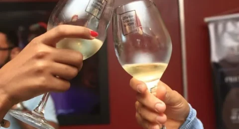 Imagem do post Bahia Vinho Show 2025 destaca capacitações e reúne amantes do vinho