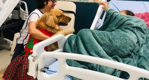 Imagem do post Cão terapeuta leva alegria a pacientes do Hospital Mont Serrat