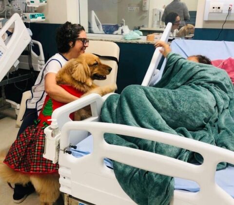 Imagem do post Cão terapeuta leva alegria a pacientes do Hospital Mont Serrat