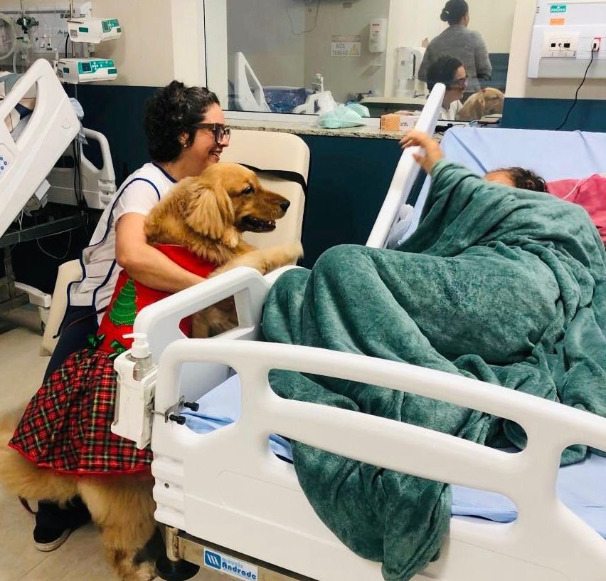 Cão terapeuta leva alegria a pacientes do Hospital Mont Serrat