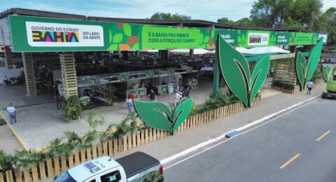 Imagem do post Fenagro firma cooperação para impulsionar MATOPIBA e SEALBA