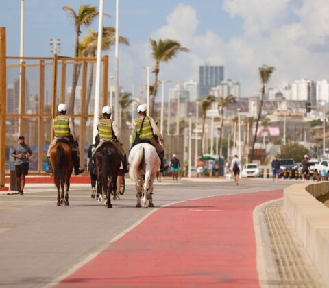 Imagem do post Cavalaria da PM reforça segurança na Operação Verão 2025/26