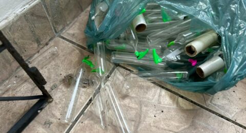 Imagem do post Operação Inquilinos encontra mais uma pistola e lança-perfume