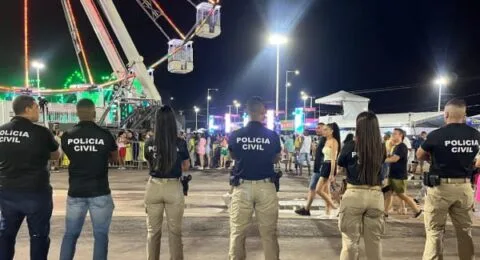Imagem do post Polícia Civil atua de forma integrada no Festival da Virada 2026