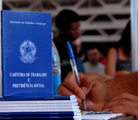 Imagem do post Bahia cria 8.763 empregos em novembro e supera 113 mil vagas no ano