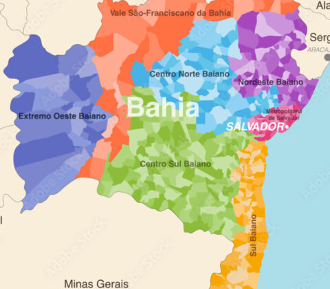 Imagem do post Volume de serviços na Bahia recua em novembro, aponta IBGE
