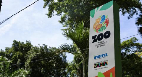 Imagem do post Parque Zoobotânico da Bahia lança projeto “Férias é no Zoo”