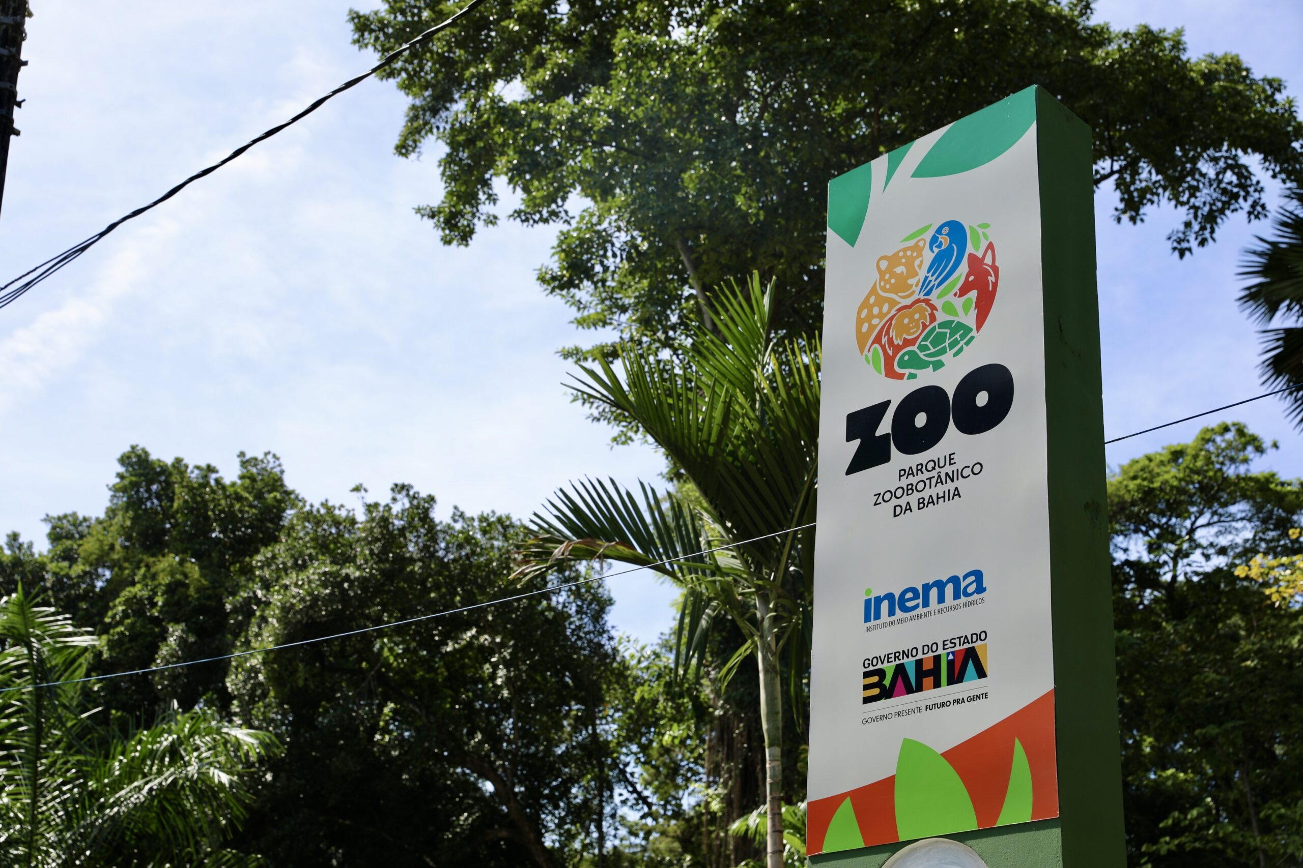 Parque Zoobotânico da Bahia lança projeto “Férias é no Zoo”