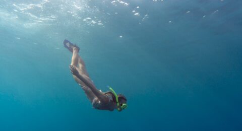 Imagem do post Mergulho em Salvador atrai turistas com naufrágios e vida marinha
