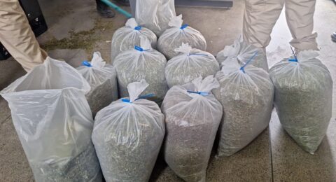 Imagem do post Operação prende advogado investigado por crimes na Bahia